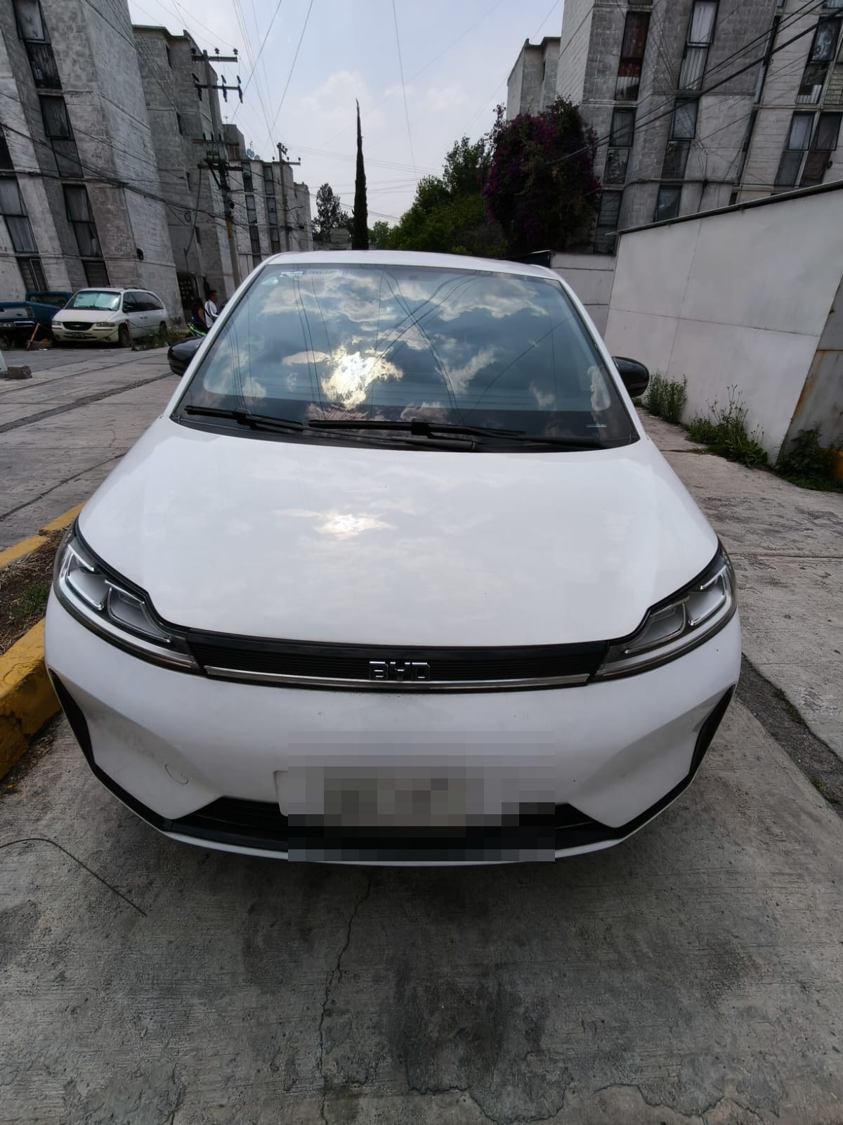 BYD D1